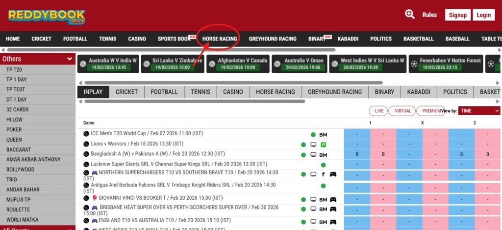 Horse racing bets on Reddy Anna